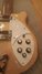 Rickenbacker 360/6 , Mapleglo: Close up - Free2