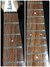 Rickenbacker 330/6 , Mapleglo: Neck - Front