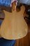 Feb 1974 Rickenbacker 450/6 Mod, Mapleglo: Body - Rear
