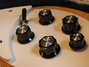 Rickenbacker 370/12 , Mapleglo: Close up - Free2