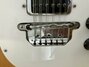Nov 1965 Rickenbacker 450/12 , Natural: Close up - Free