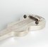 Rickenbacker NS 100/6 LapSteel, Silver: Free image