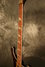 Rickenbacker 4003/4 75th Ann, DCMetallic: Neck - Front