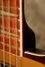 Rickenbacker 4003/4 75th Ann, DCMetallic: Close up - Free
