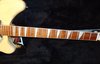 Rickenbacker 360/6 , Mapleglo: Neck - Front