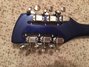 Rickenbacker 381/12 V69, Midnightblue: Headstock - Rear