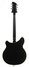 Rickenbacker 360/6 Mod, Jetglo: Full Instrument - Rear