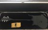Rickenbacker 620/6 , Jetglo: Full Instrument - Rear