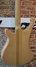 Feb 2019 Rickenbacker 4003/4 , Mapleglo: Body - Rear