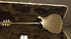 Rickenbacker 650/6 Colorado, Jetglo: Full Instrument - Rear
