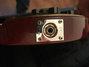 Rickenbacker 350/6 , Fireglo: Close up - Free