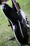 Rickenbacker 360/6 , Jetglo: Free image