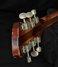 Rickenbacker 345/6 , Fireglo: Free image