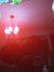 May 2013 Rickenbacker 360/6 , Ruby: Body - Rear