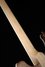 Rickenbacker 4003/4 , Natural Walnut: Neck - Rear