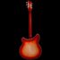 Rickenbacker 360/6 , Fireglo: Full Instrument - Rear