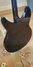 Rickenbacker 330/12 , Jetglo: Full Instrument - Rear