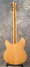 Rickenbacker 360/6 V64, Mapleglo: Full Instrument - Rear