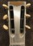 Rickenbacker A25/6 LapSteel, Aluminum: Headstock