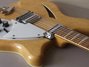 Rickenbacker 360/12 Mod, Mapleglo: Free image