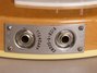 Rickenbacker 360/12 Mod, Mapleglo: Close up - Free