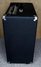 Rickenbacker TR35B/amp , Black: Free image