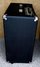 Rickenbacker TR35B/amp , Black: Free image2
