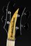 Rickenbacker 4003/4 SPC, Jetglo Pearlstar : Headstock