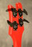 Rickenbacker 4003/4 BH BT, Red: Headstock - Rear