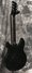Rickenbacker 330/6 , Jetglo: Full Instrument - Rear