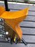 Rickenbacker 325/6 Capri, Natural: Free image