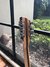 Rickenbacker 360/12 , Mapleglo: Headstock - Rear