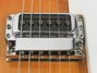 Rickenbacker 330/6 , Fireglo: Free image