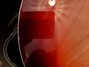 Rickenbacker 360/6 , Fireglo: Free image