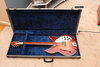 Rickenbacker 1993/12 RoMo, Fireglo: Full Instrument - Front
