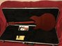 Rickenbacker 330/6 , Ruby: Full Instrument - Rear
