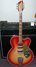 Rickenbacker 375/6 F, Fireglo: Full Instrument - Front