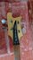 Rickenbacker 4003/4 BT, White: Headstock