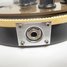 Rickenbacker 660/12 TP, Jetglo: Close up - Free