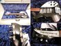 Rickenbacker 325/6 V63, Jetglo: Close up - Free2