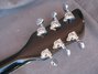 Rickenbacker 360/6 Mod, Fireglo: Headstock - Rear