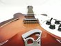 Rickenbacker 360/12 , Fireglo: Close up - Free2