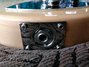 Rickenbacker 650/6 Colorado, Mapleglo: Free image2