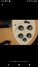 Rickenbacker 330/6 , Mapleglo: Close up - Free2