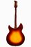 Rickenbacker 365/6 Refin, Fireglo: Full Instrument - Rear