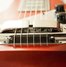 Rickenbacker 105/6 LapSteel, Red: Close up - Free2