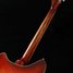 Rickenbacker 360/6 , Fireglo: Neck - Rear