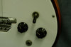 Rickenbacker ES16/6 Electro, Fireglo: Close up - Free