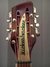 Rickenbacker 660/12 TP, Fireglo: Headstock