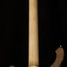 Rickenbacker 4003/4 , Natural Walnut: Neck - Rear